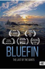 Bluefin poster